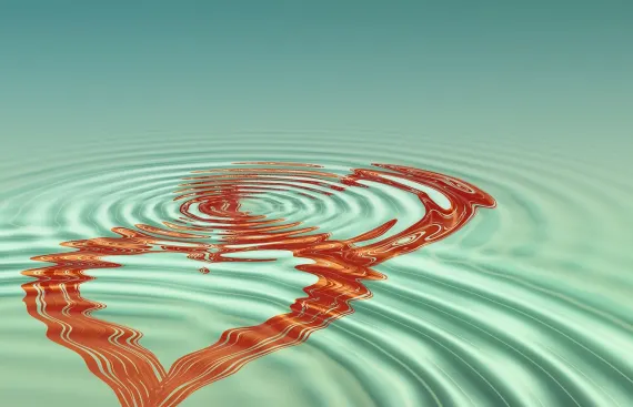 BingoCom Casino Supporto